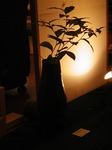 P1010034.jpg